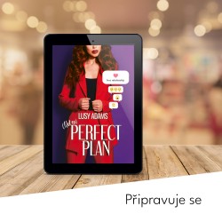 PERFECT PLAN E-BOOK